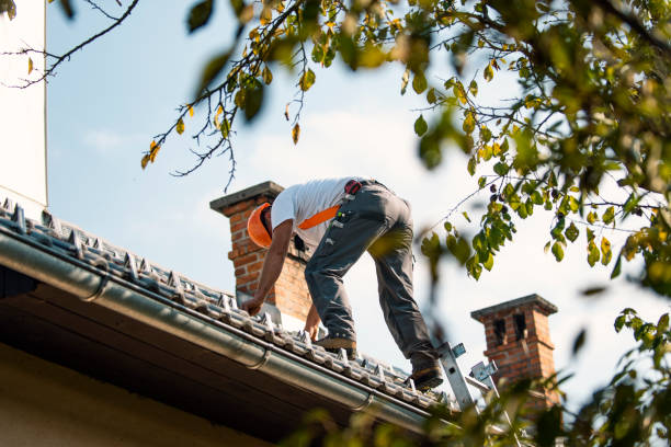 Quick and Trustworthy Emergency Roof Repair Services in Fish Hawk, FL