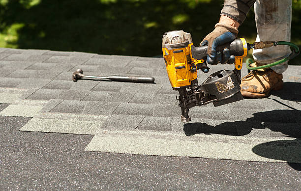 Best Shingle Roofing Installation  in Fish Hawk, FL