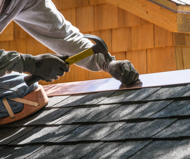 Best Roof Gutter Cleaning  in Fish Hawk, FL
